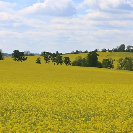 Ferienhaus Drebach Дом отдыха Drebach