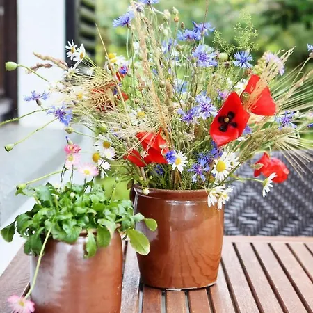 Дом отдыха Ferienhaus Drebach