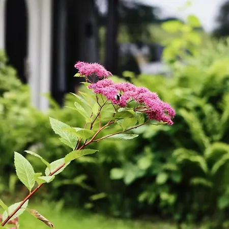 Дом отдыха Ferienhaus Drebach