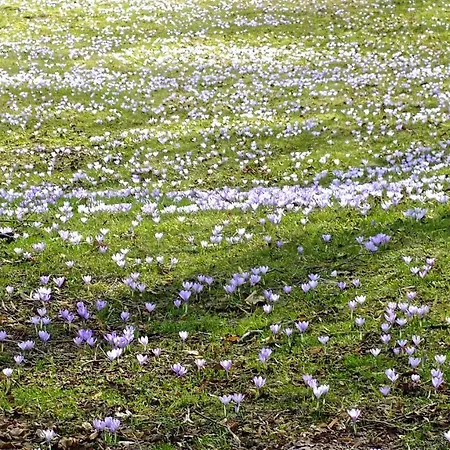 Ferienhaus Drebach Дом отдыха *